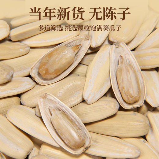 【248g】五香味脱皮葵瓜子古法葵瓜子旭东瓜子罐装大颗粒黄金葵瓜子 商品图1
