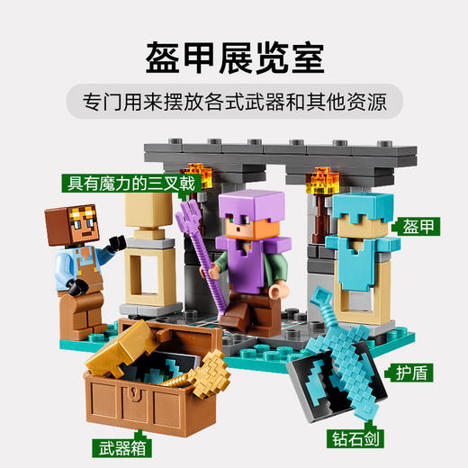 乐高 LEGO军械库LEGC21252 商品图4