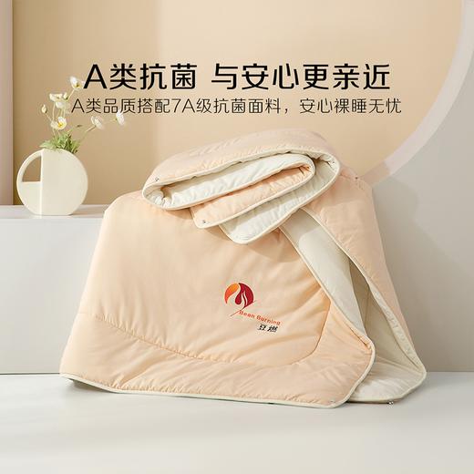 百丽丝家纺豆燃·抗菌被水星集团床上用品 商品图3