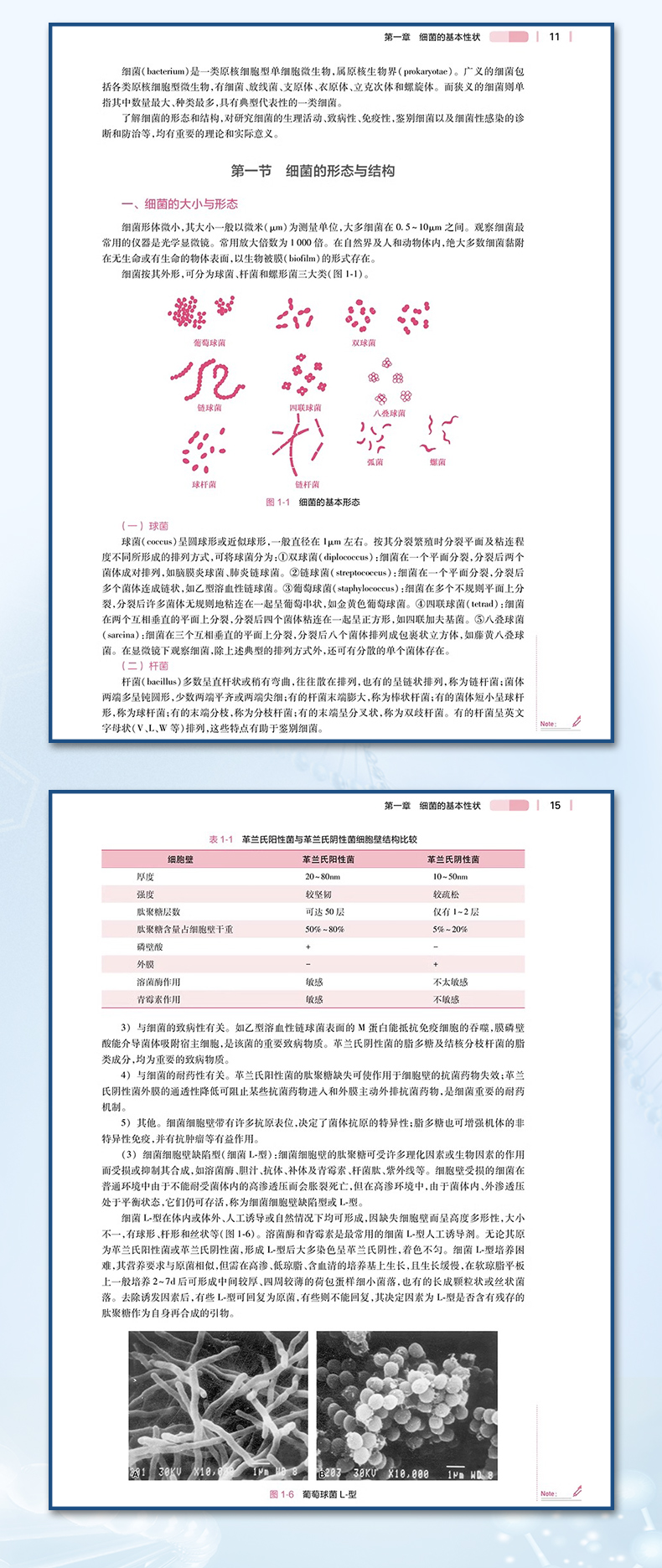 护理教材_05.jpg