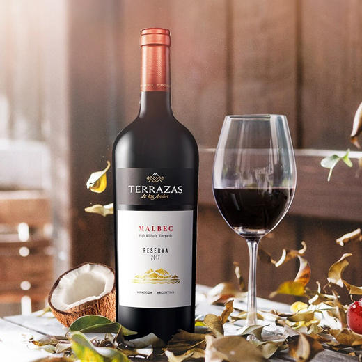 台阶典藏马尔贝克红葡萄酒750ml*1 商品图0