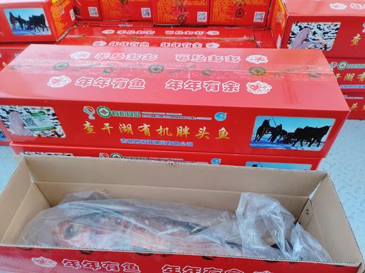 一鱼一码胖头鱼一条（6斤左右） 商品图0