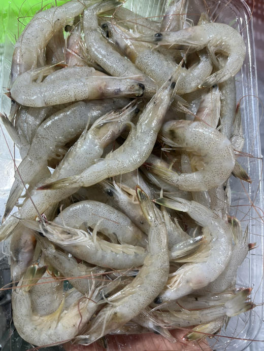 野生海白虾和虾仁 商品图0