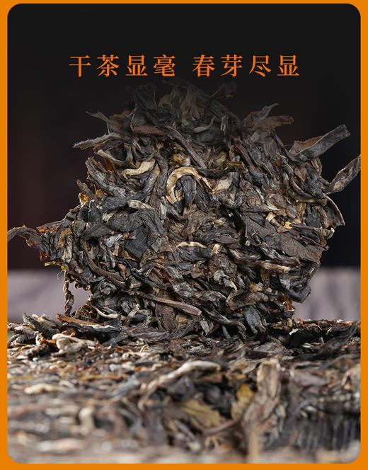 生普 | 凤宁号2018年凤庆古树   凤起 357g/盒 商品图1