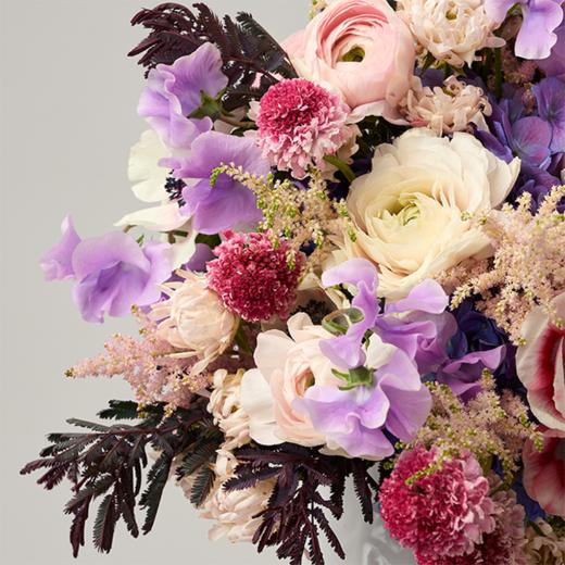 缤纷桃源 Wonderland 商品图1