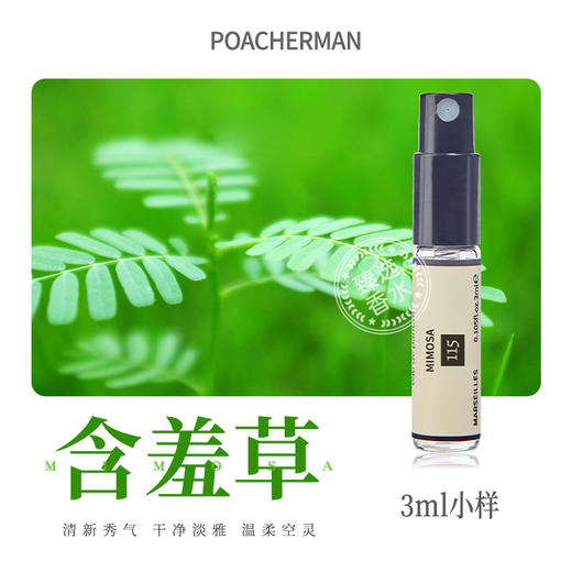 柏世曼含羞草味香水 清新香调感应草香小众香水学生 商品图4