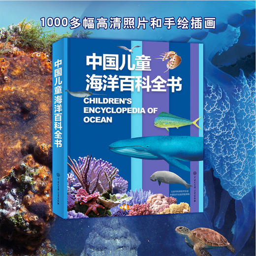 中国儿童海洋百科全书 6-15岁儿童海底世界百科  打造中国孩子的专属“海洋博物馆” 商品图3