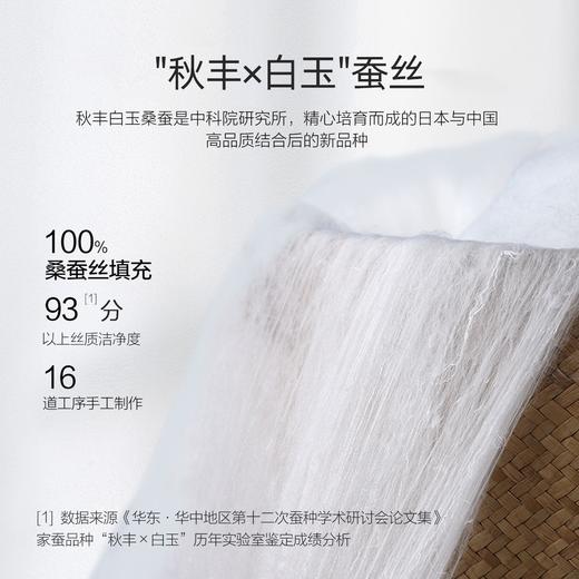 水星家纺金玉芳菲 桑蚕丝子母二合一被 商品图2
