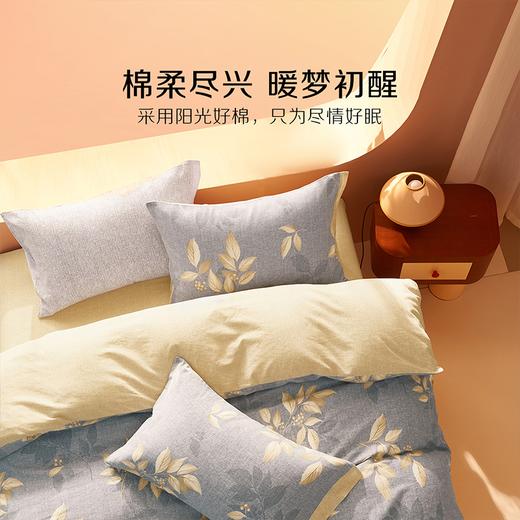 水星家纺 百丽丝家纺磨毛森屿茗川床上三件套被套被子 商品图3