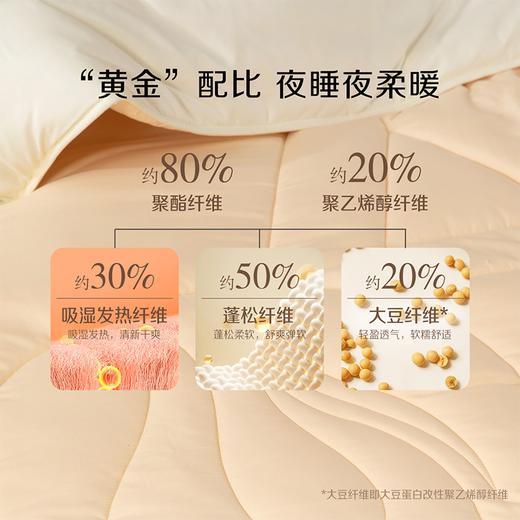 百丽丝家纺豆燃·抗菌被水星集团床上用品 商品图2