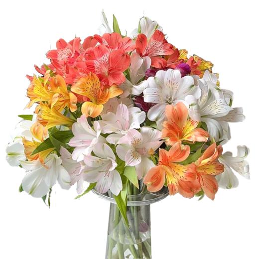 水仙百合 10支/扎 以实物为准 云南基地发货（价格已包含包装费用） 运费以实际为准，多退少补。 商品图1