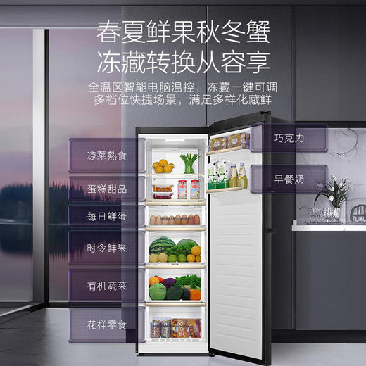卡萨帝（Casarte）原石系列285升风冷家用立式冰柜 一级能效 冷柜冰箱冷藏冷冻柜BD-285WGCERU1 商品图5