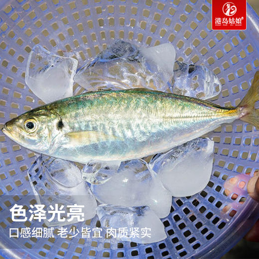 港岛姑娘 巴浪鱼海捕深海刺巴鱼池鱼竹夹鱼500g/盒4-5条活冻 商品图3