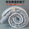 【YW】无忧购A类云柔原棉大豆纤维被春秋被加厚冬被（截单3-5天发货) 商品缩略图1