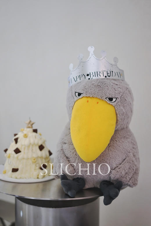 生日皇冠帽 商品图1