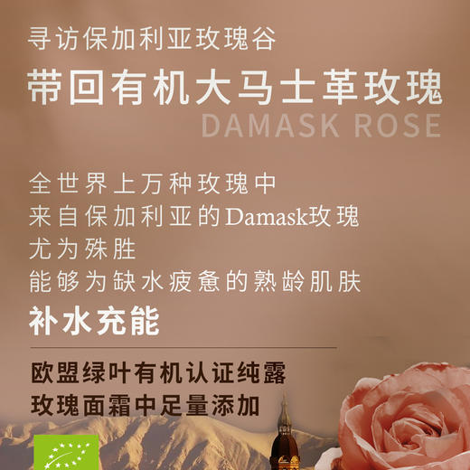 S光阴小驻玫瑰葡聚糖面霜 轻盈水润干皮真爱 严选天然原料 纯素无添加面霜 商品图2