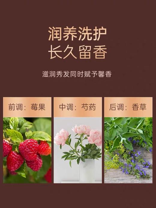 欧莱雅精油润养丰盈洗发露400ml 商品图2