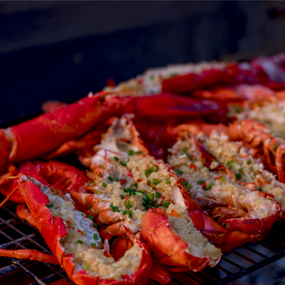 跨年限时早鸟价498元/位【12月31日跨年草坪烧烤自助晚宴】跨年主题晚宴+波士顿龙虾+内蒙烤全羊+特色烤文昌鸡+刺身拼盘