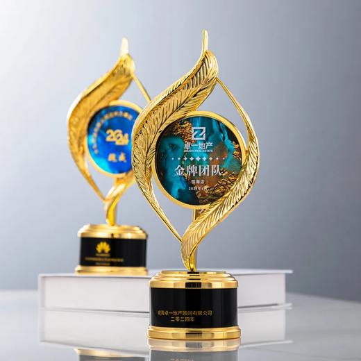 创意金属羽毛水晶奖杯定制定做优秀员荣誉奖座高档年会颁奖纪念 商品图0