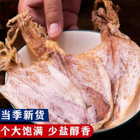 港岛姑娘 鱿鱼干人工晒干手撕鱿鱼干无盐淡干烧烤炖汤 0.5斤/约4-5个