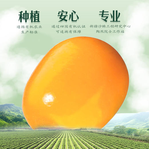 新疆康元沙棘有机原浆500ml/袋 商品图6