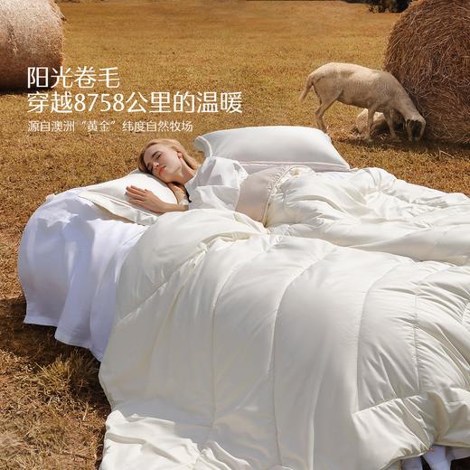 水星锦奢澳洲羊毛冬被 商品图1