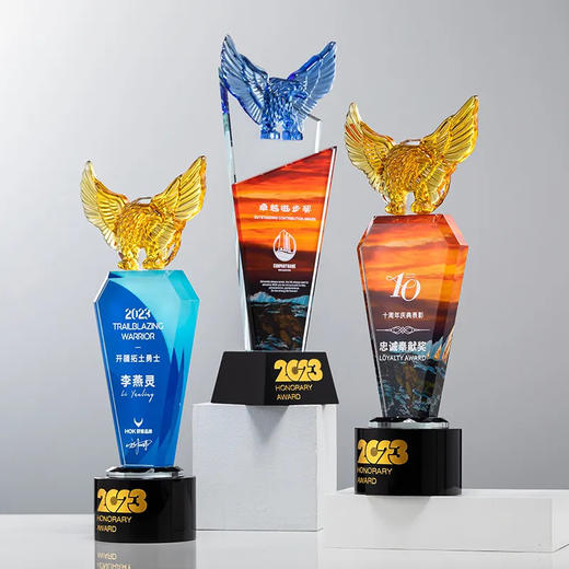创意水晶奖杯定制雄鹰奖彩印定做年终奖公司单位颁奖纪念品刻字 · 雄鹰款 商品图1