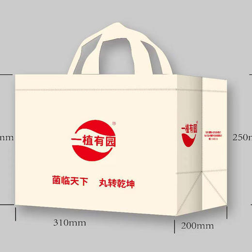 猴菇丸、鹿茸菇丸组合  素食食品   各5包 商品图4