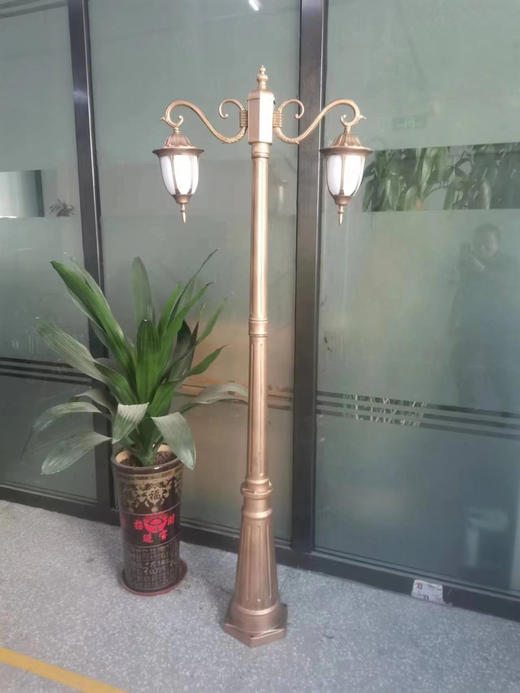 双头弯钩花园厅路引（运费自理） 商品图0