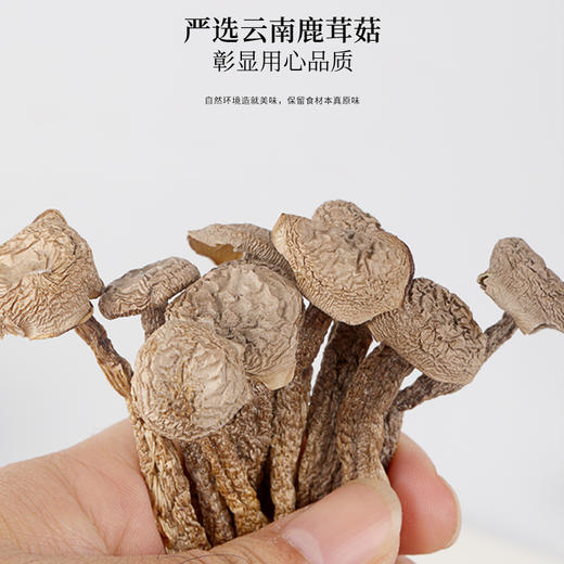 福东海 山珍菌菇四拼礼盒135克【年货好礼】羊肚菌姬松茸鹿茸菇花菇菌菇特产干货滋补 春节送礼 商品图5