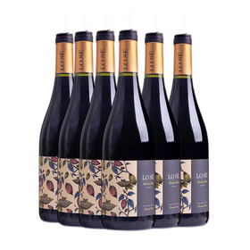 智利珍藏级红葡萄酒 巧克力味红酒13度750ml/瓶6支装