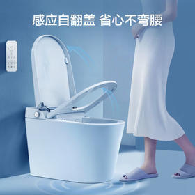 海尔（Haier）智能马桶 无水压限制等离子杀菌款 U型大座圈 自动翻盖款HF-U