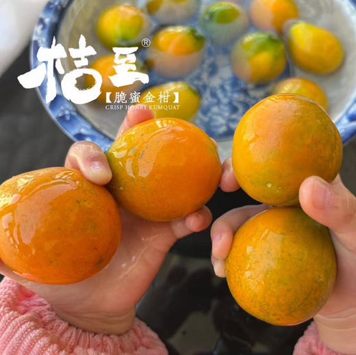 脆蜜金柑  霸王大果 商品图6