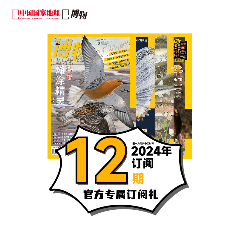 博物杂志2023年全年订阅赠模型  2024年全年订阅赠点心毛绒盲盒