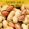 【288g】山核桃味百里挑一旭东花生独立罐装带壳奶香味休闲坚果炒货零食 商品缩略图1
