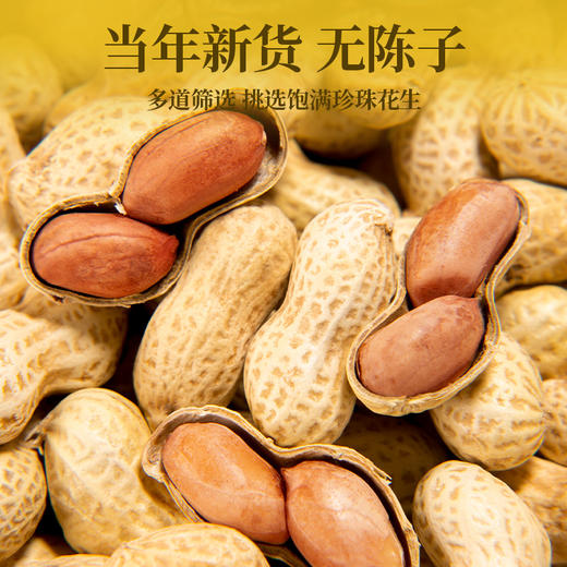 【288g】山核桃味百里挑一旭东花生独立罐装带壳奶香味休闲坚果炒货零食 商品图1