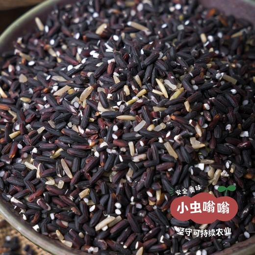 生态紫米 2斤 | 合作农友生产，产自福建南平，生产者：江禄 &【公平贸易农人定价】 商品图6