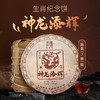 陈升号 2024年神龙添辉357g（熟茶） 商品缩略图6