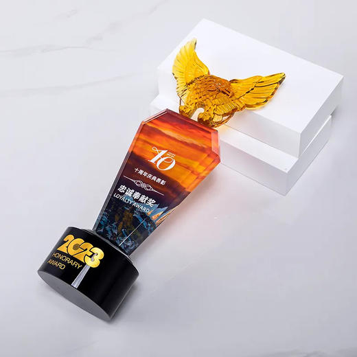 创意水晶奖杯定制雄鹰奖彩印定做年终奖公司单位颁奖纪念品刻字 · 雄鹰款 商品图4