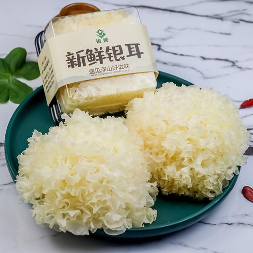【顺丰快递】鲜银耳  凉拌 做汤 营养美味6朵/提 拾誉 商品图3