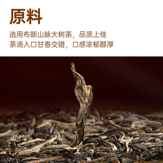 2024年陈升号龙腾盛世3000g普洱生茶 商品图3