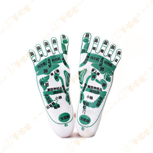 【五指棉袜】穴位按摩足底养生 商品图6