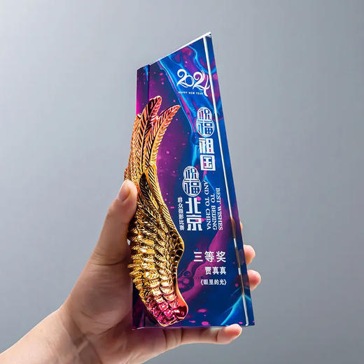 水晶奖杯定制高档大气奖牌定做创意彩印企业年会颁奖订制优秀员工 · 款式1 商品图7