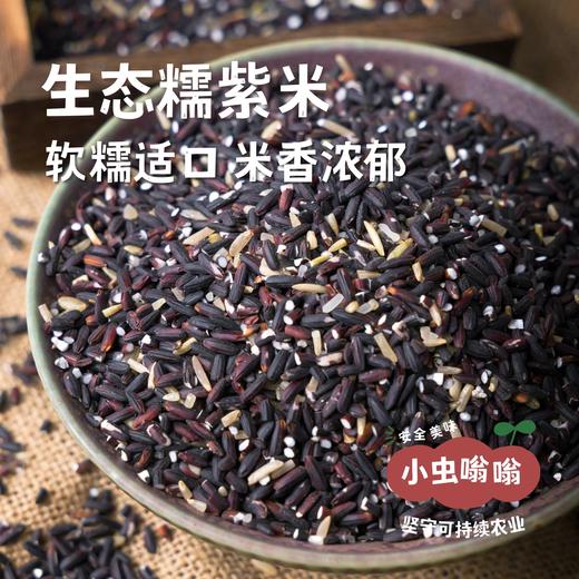 生态紫米 2斤 | 合作农友生产，产自福建南平，生产者：江禄 &【公平贸易农人定价】 商品图0