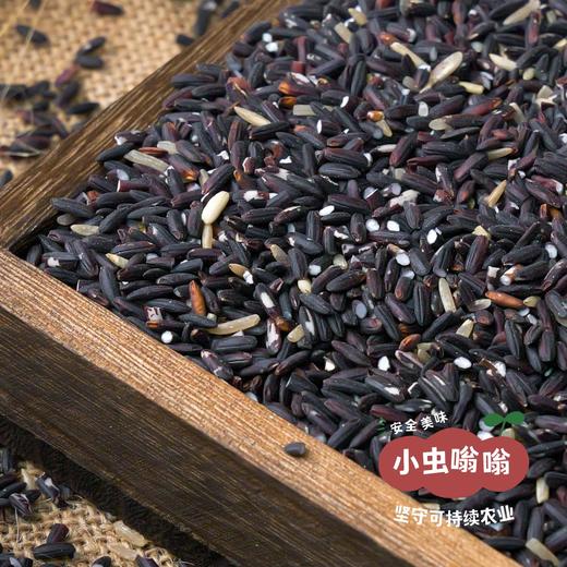 生态紫米 2斤 | 合作农友生产，产自福建南平，生产者：江禄 &【公平贸易农人定价】 商品图5