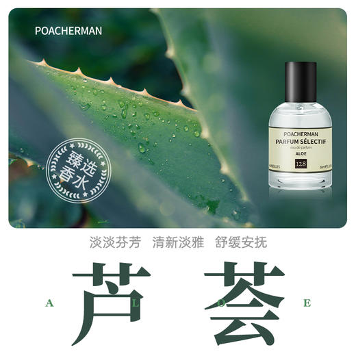 柏世曼芦荟味香水 清新绿叶调芦荟香味男女士小众香水学生香氛 商品图0