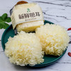 【顺丰快递】鲜银耳  凉拌 做汤 营养美味6朵/提 拾誉 商品缩略图2