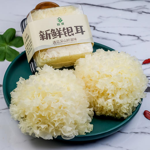 【顺丰快递】鲜银耳  凉拌 做汤 营养美味6朵/提 拾誉 商品图2
