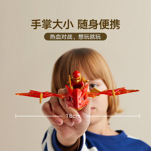 乐高 LEGO凯的飞龙特攻LEGC71801 商品图4