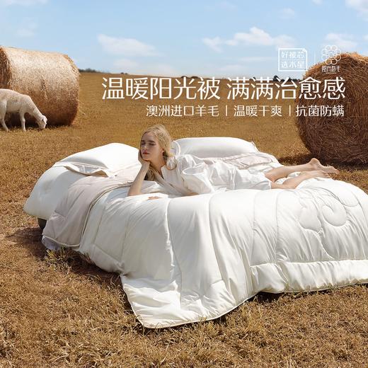 水星锦奢澳洲羊毛冬被 商品图0